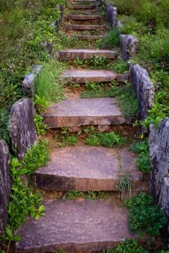 View of Steps made with stone with in a park, Karnataka, India Foto stock