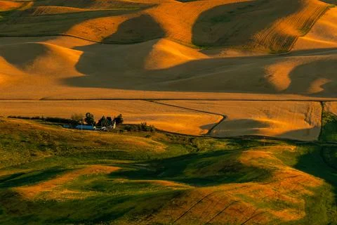 View of Steptoe Butte in the Palouse region, Washington state USA Stock Photos