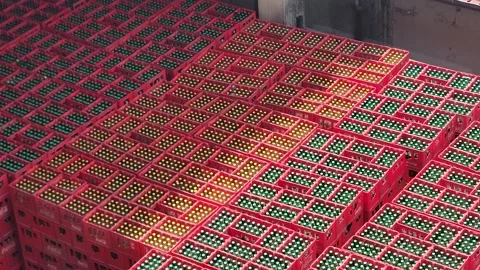 View of Stock Coca Cola Crates Stock Footage 320474709