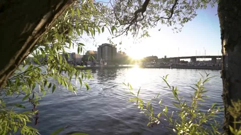 View on stockholm bay between trees from a park on harbour in sunset Stock Footage 261281665