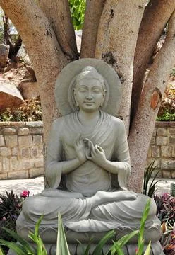 View of stone carving of God Buddha in meditating pose under the tree,in an I Foto stock