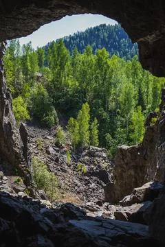 View from the stone cave outside to the coniferous forest. Stock Photos