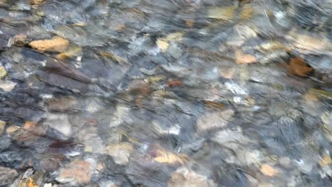 View into a stone filled mountain stream with multicolored rocks and moving wate Stock Footage 302207071