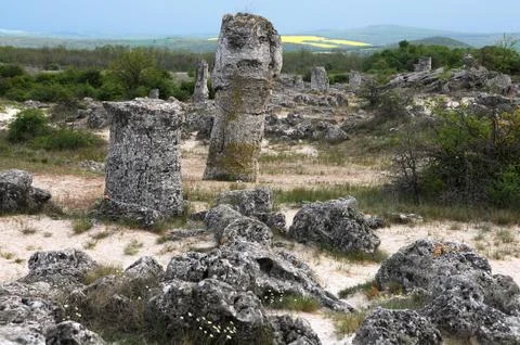 View of Stone Forest Stock Photos