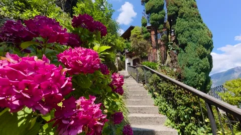 View of stone staircase with pink hydrangeas in Hallstatt, Austria. Video stock 343683156