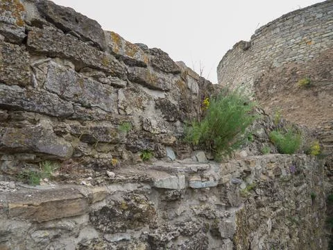 View of stone wall overgrown by herbs and plants Stock Photos