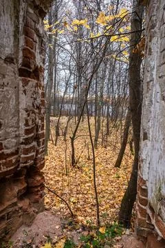 View from the stone window opening of the destroyed church on the autumn land Stock Photos