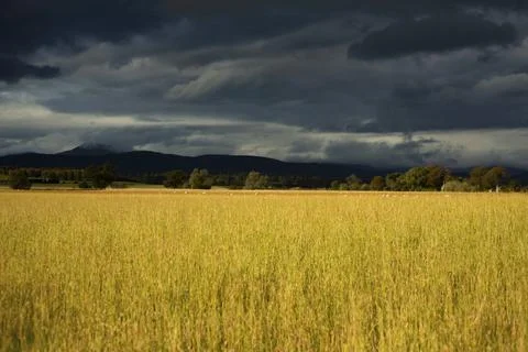 View of Storm Clouds over the Trossachs from a farm near Stirling in Scotland Stock Photos