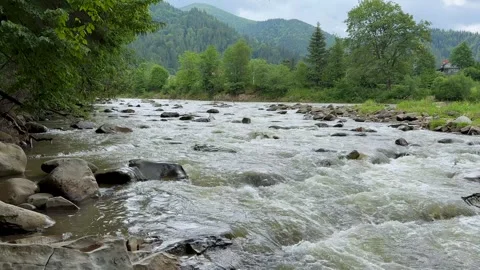 View of a stormy mountain river flowing from the mountains, the camera moves Video stock 249901702