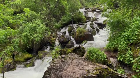 View of a stormy mountain river in the forests of Kazakhstan Stock-Footage 316880066