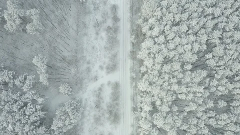 View straight down from the drone on a winter road in the forest, snow -capped Video stock 126357256