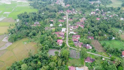 View of a Straight Village Road Splitting Residential Houses and Green Stock Footage 346444497