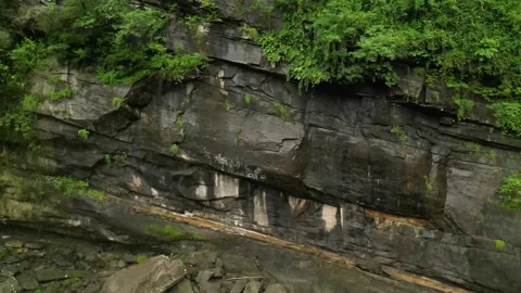 View of a stratified rock wall with scattered boulders and creeping vegetation Video stock 319471841
