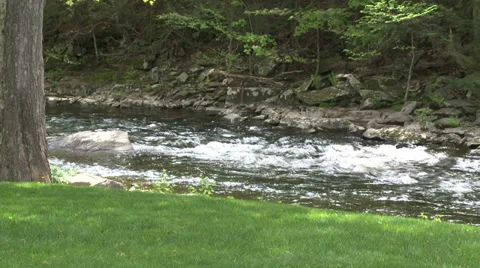 View of stream and portion of field (2 of 2) Stock Footage 32026166
