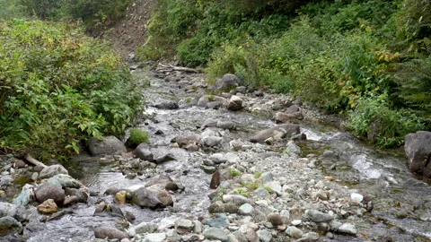 A view of the stream flowing through Tsugaike Nature Park, where autumn leaves h 動画素材 160992985