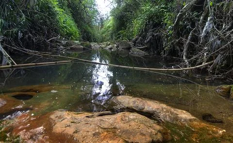 View from a stream Foto stock