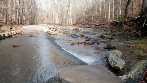 View of a stream at Scott's Run Nature Preserve, United States. Stock Footage 333526350