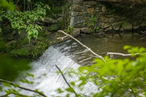 View of a Stream With a Small Waterfall in the Middle of s Forest Stock Photos