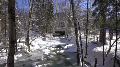 View of a stream in winter Stock Footage 146873638