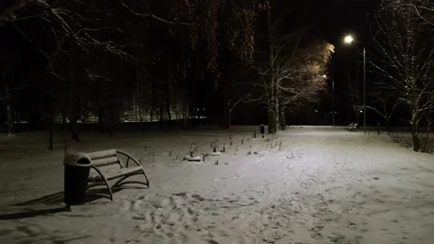 View of the street and park after a snowfall Stock Footage 224975159