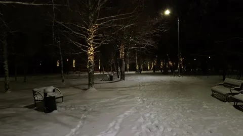 View of the street and park after a snowfall Stock Footage 224975264