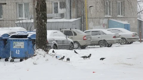 View street during snowfal Vídeo Stock 129490324