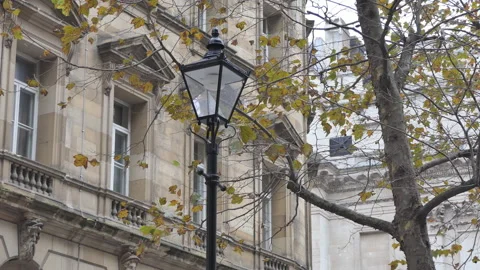A view of a street lantern and yellow tree in front of an old building. Stock Footage 99564657