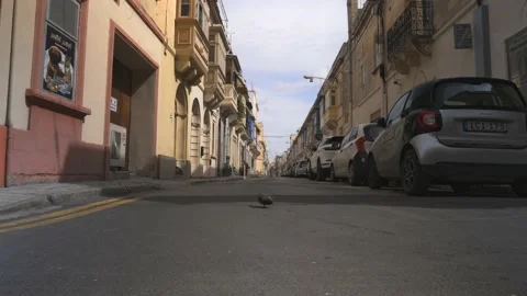 View at the street in Sliema Stock Footage 236465905