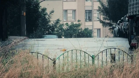 View of a street with vegetations in a heavy rainstorm with thunder and rain Stock Footage 104489448