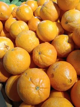 View of a stretch of fresh oranges Stock Photos