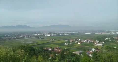 A view with a stretch of rice fields and mountains Stock Footage 219781965