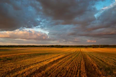 View of the stubble field and clouds during sunset Stock Photos