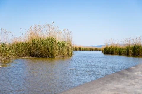 View of the stubble fields while crossing the river on a wooden boat Stock Photos