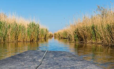View of the stubble fields while crossing the river on a wooden boat Stock Photos