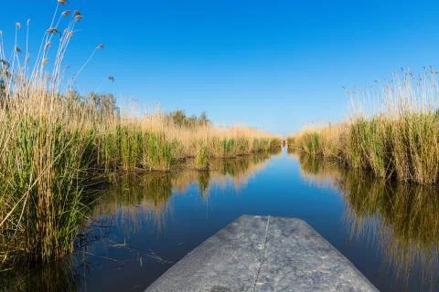 View of the stubble fields while crossing the river on a wooden boat Stock Photos