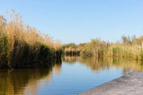 View of the stubble fields while crossing the river on a wooden boat Stock Photos