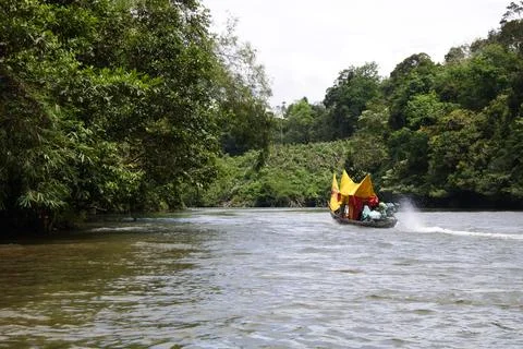View of the Subayang Stock Photos