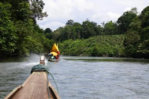 View of the Subayang River Stock Photos