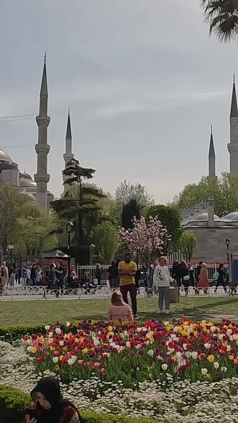 View of the Sultan Ahmed Mosque (Blue Mosque) Stock Footage 277983960