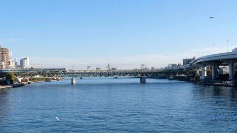 View of Sumida River, Tokyo, Japan Stock Footage 115454536
