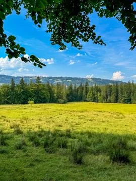 View of a summer evening in the mountains, meadows, mountain slopes and hills Stock Photos