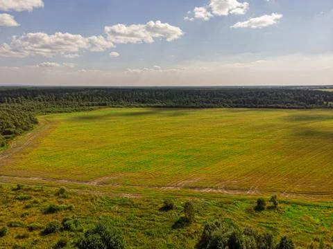 View of the summer forest from the drone Stock Photos