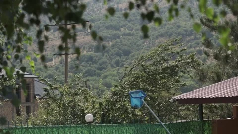 View of the summer mountains through the foliage of the tree. Sunny day Stock Footage 253378325