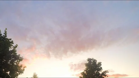 View of summer park at sunset timelapse 動画素材 78017146
