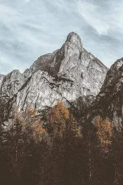 View of summit in autumn Stock Photos