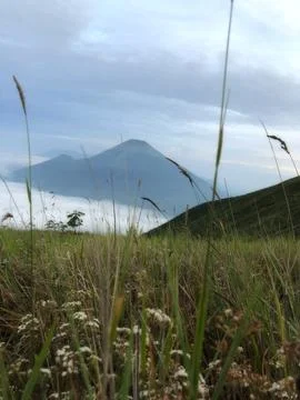 The view from the summit of Mount Sindoro Stock Photos