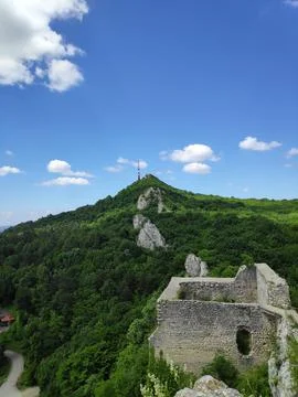 View of the Summit – Nature, Forests, and Blue Sky 스톡 사진