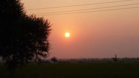 View of sun and green fields in the morning time Vídeo Stock 151951186