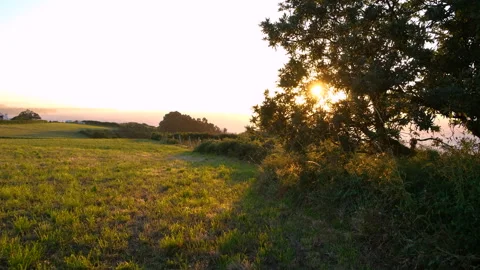 View of the sun  behind a tree on a beautiful field in Asturias at golden hour 스톡 동영상 135828787