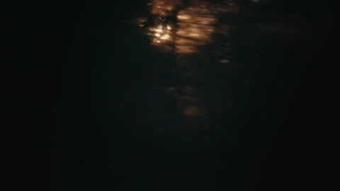 View of the sun blinking through the trees, view from a fast moving car Stock Footage 309867481